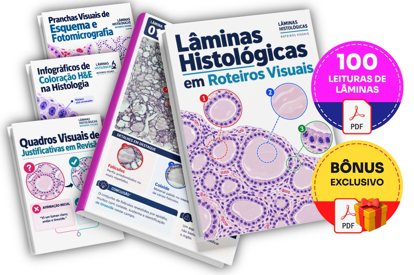 Cada percurso conecta observação, pistas e justificativa.